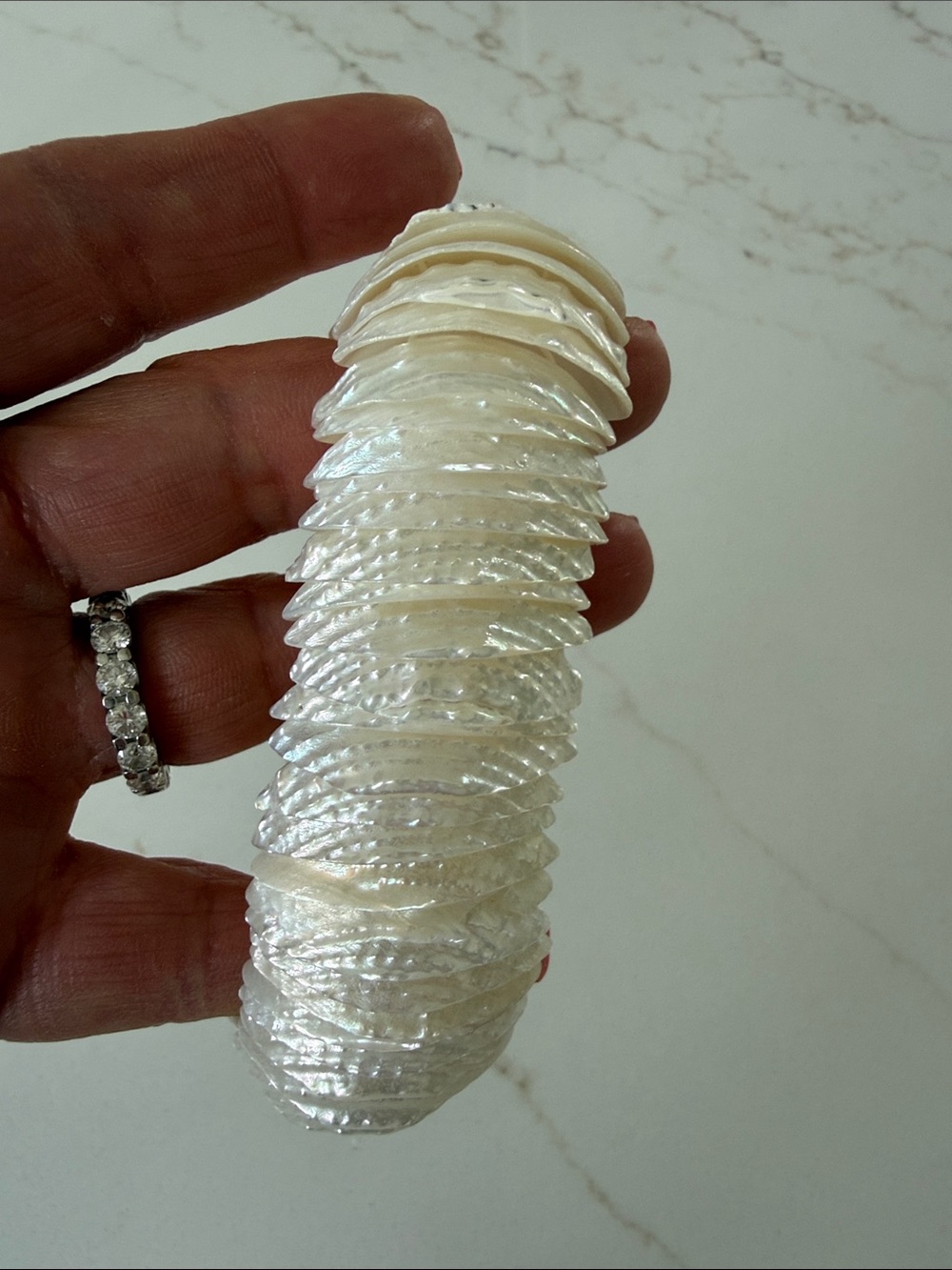 Iridescent Mother of Pearl Coin Bead Strand - Cream/White Bracelet
